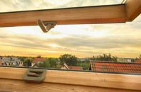 rated Tong Green roof window companies