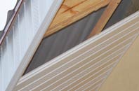 rated Tong Green soffit repair companies